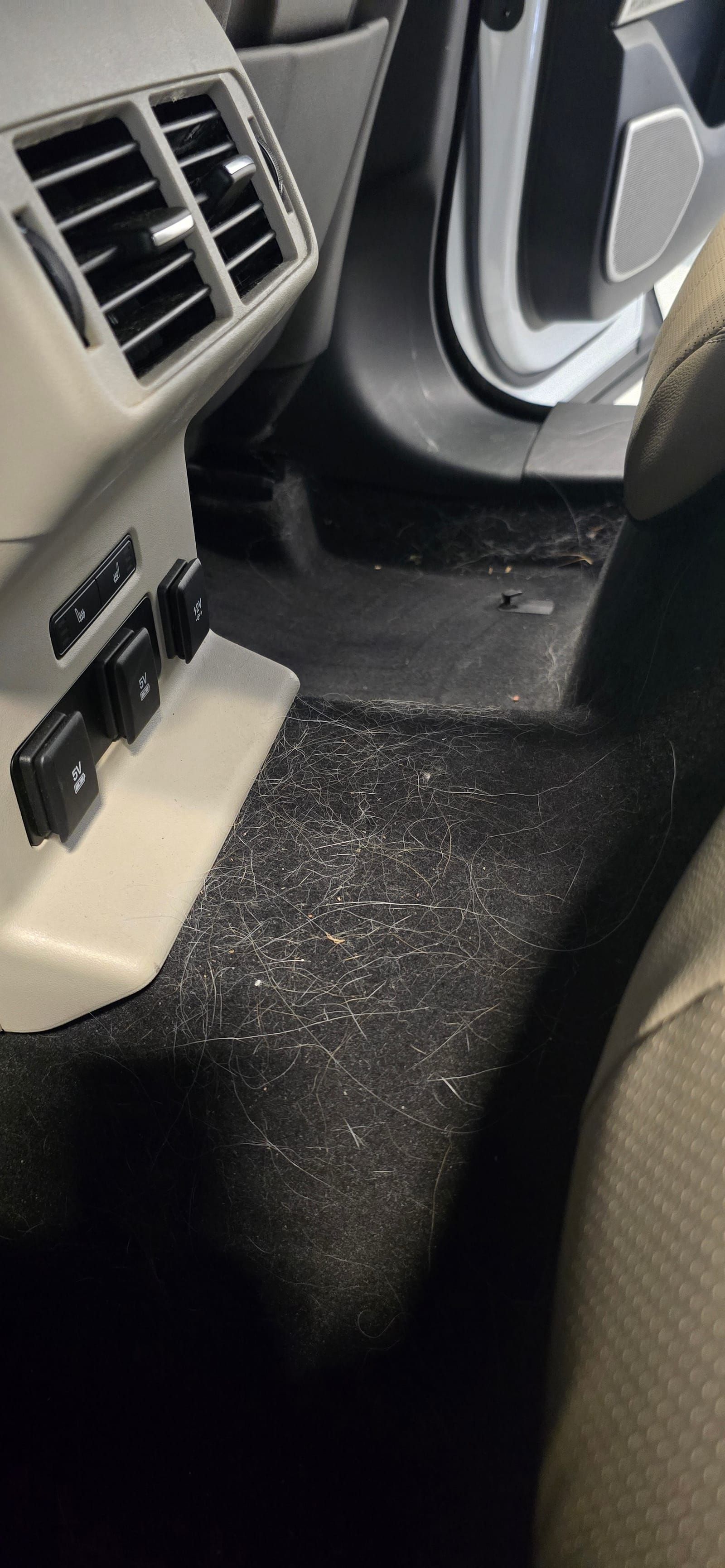 Mobile Car Detailing 13