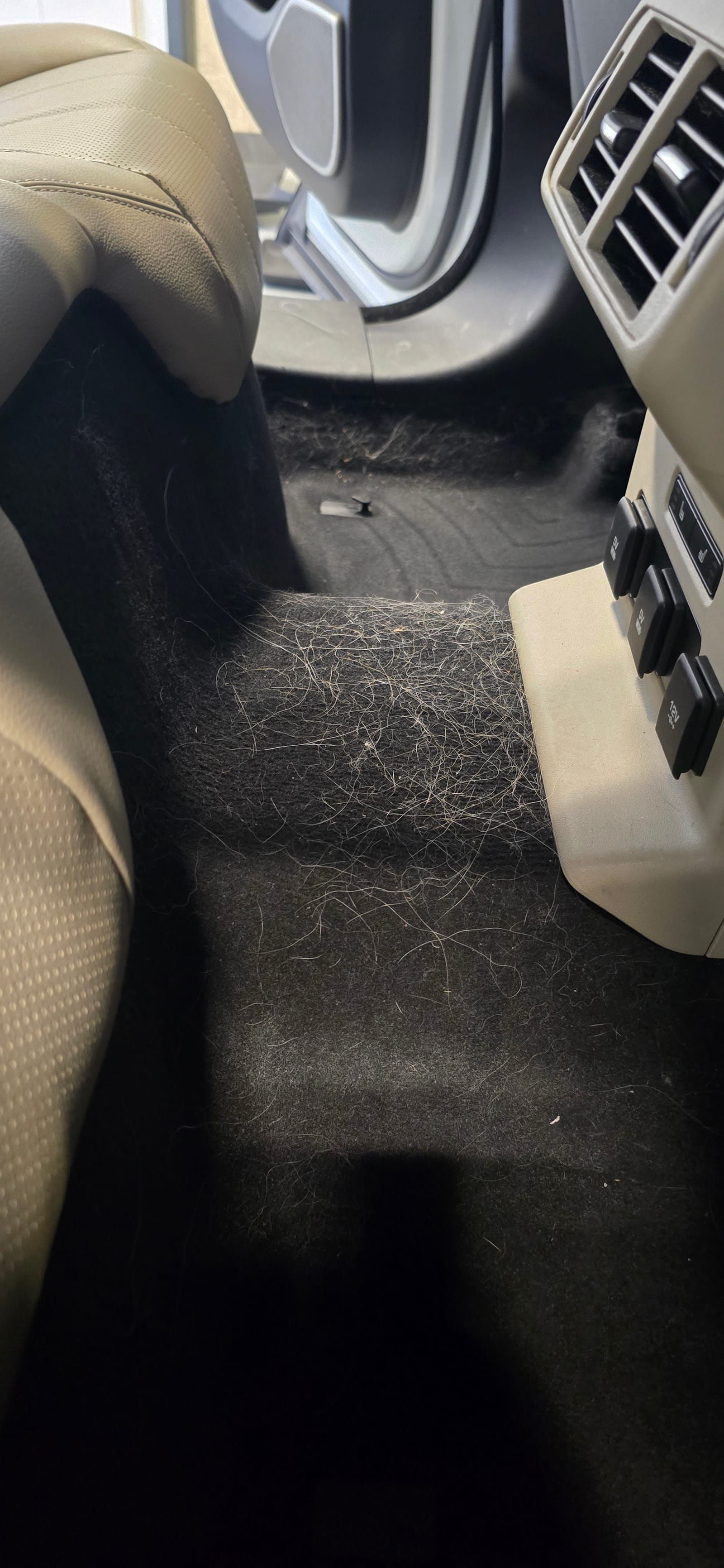 Mobile Car Detailing 14