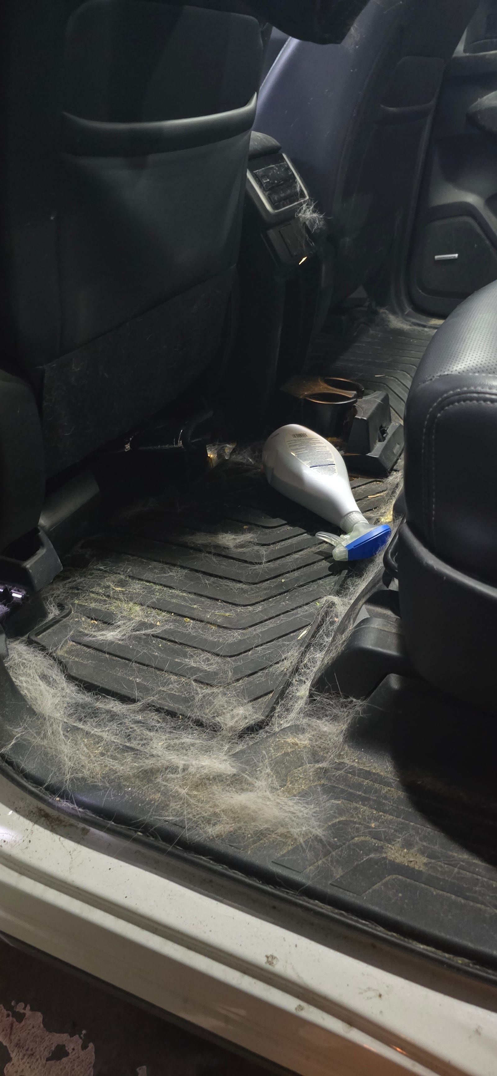 Mobile Car Detailing 16