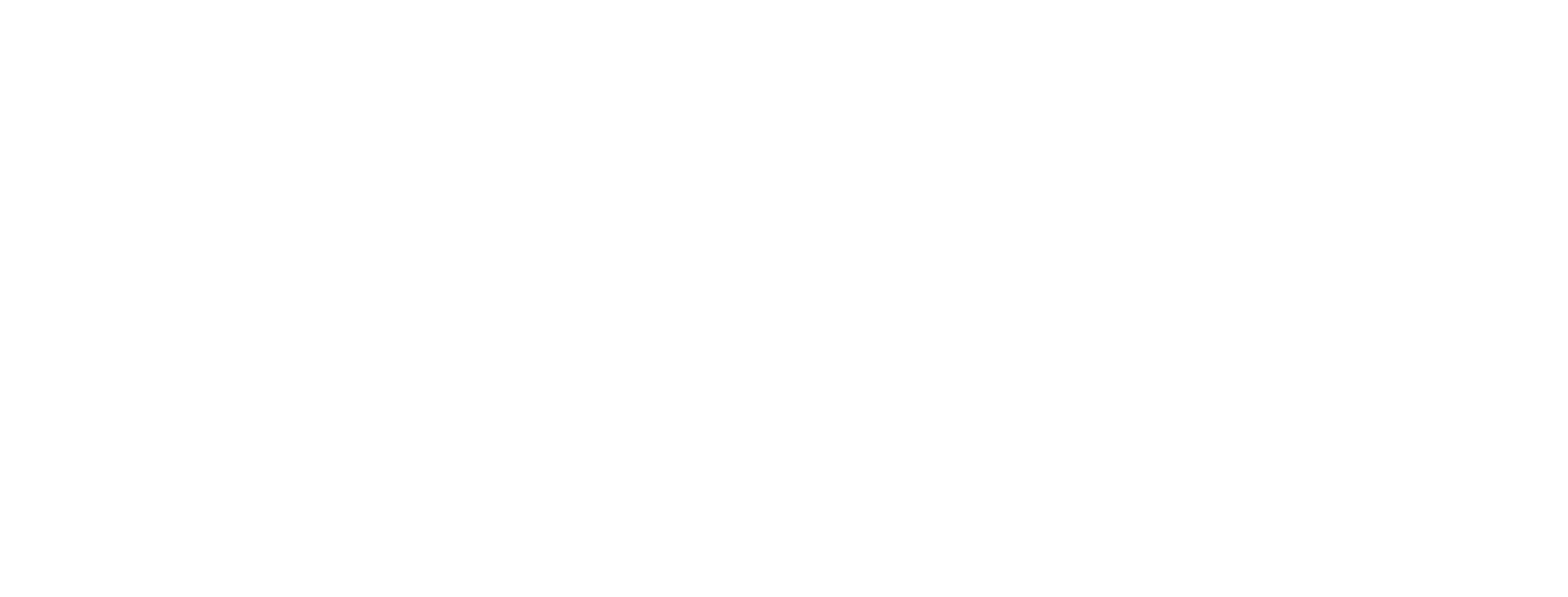 Washington Mobile Detailing Logo
