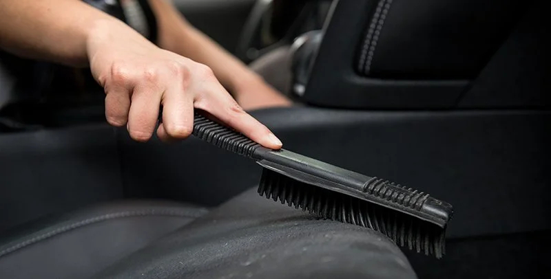 Professional Pet Hair Removal Service